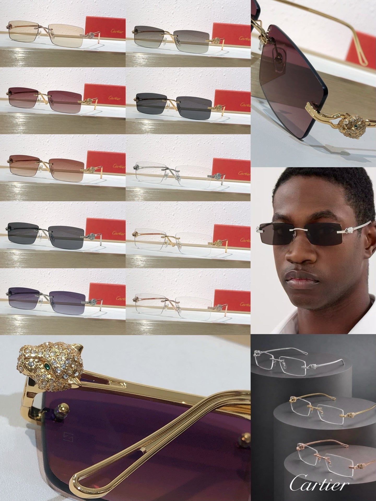 10 Color Rimless Panther Head Sunglasses CT0647S