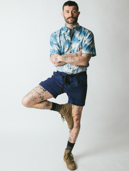 Pino viejo de copa alta