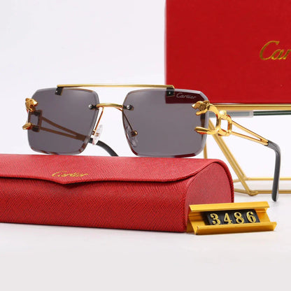 Lunettes de soleil mode 5 couleurs—3486